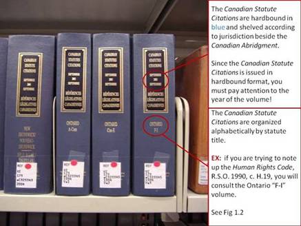 A photo of some volumes of the Canadian Statues Citations